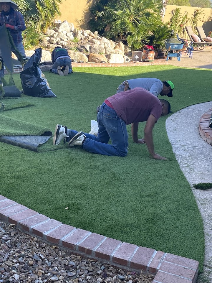 Arizona Luxury Lawns of Tucson LLC project