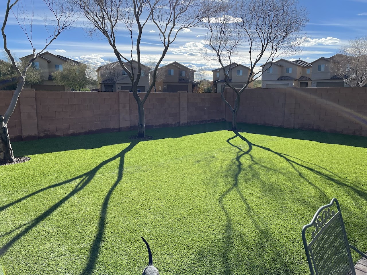 Arizona Luxury Lawns of Tucson LLC project
