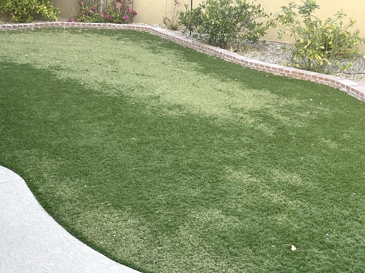 Arizona Luxury Lawns of Tucson LLC project
